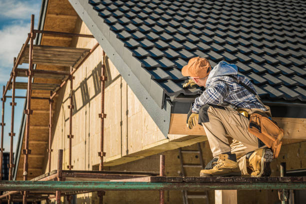 Best Sheet Metal Roofing  in Basye, VA