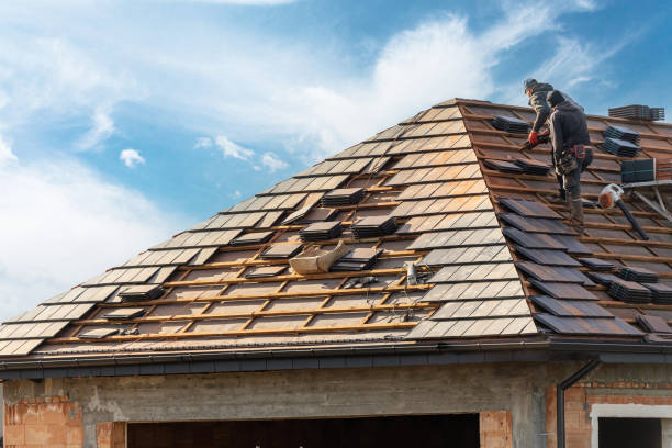 Best Skylight Installation and Repair  in Basye, VA
